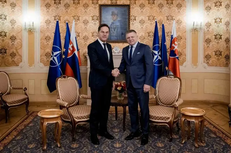 Slovakya Başbakanı Fico, NATO’dan ülkesinin hava savunmasını güçlendirmesini talep etti
