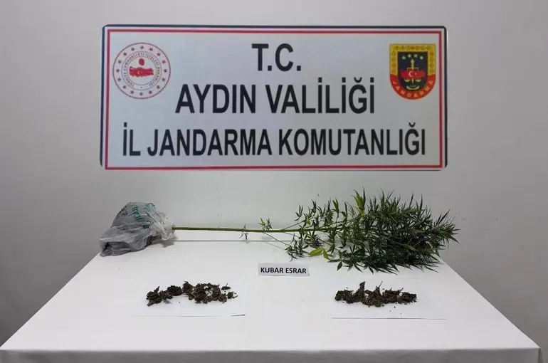 Söke’de narkotik köpeği destekli operasyonda uyuşturucu madde ele geçirildi

