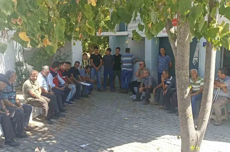 Söke’de üreticilerin sorunları sahada ele alındı
