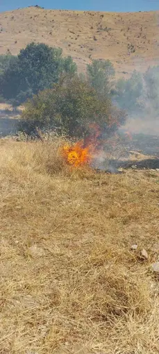 Şuhut’ta bir günde 5 ayrı noktada arazi yangını
