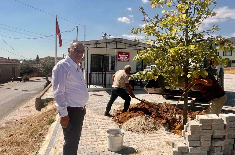 Sultanhisar’da ağaçlandırma çalışmaları sürüyor
