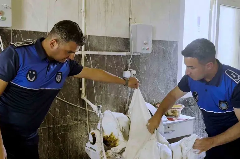 Tarsus’ta fırın denetimlerinde haşereli hamur tespit edildi
