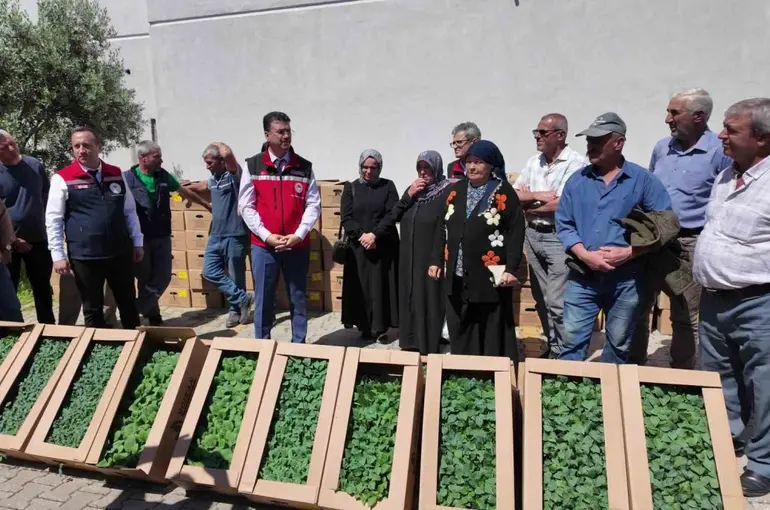 Tekirdağ’da 407 üreticiye 256 bin yazlık sebze fidesi dağıtıldı
