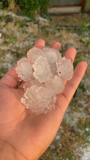 Tekirdağ’da dolu ayçiçeği ve karpuz tarlalarını vurdu
