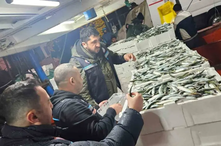Tekirdağ’da gırgır teknelerinde su ürünleri denetimleri
