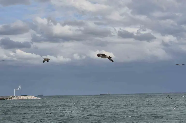 Tekirdağ’da ’kestane karası’ fırtınası
