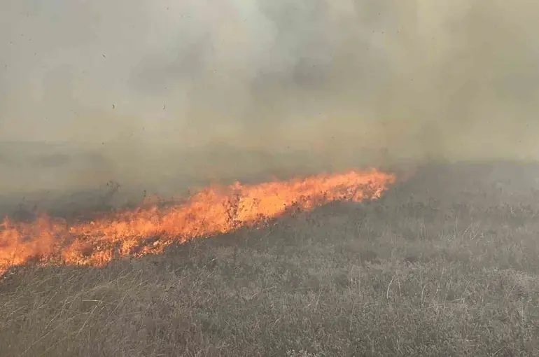 Tekirdağ’da mera yangını
