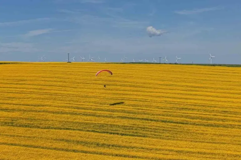 Tekirdağ’da sarı şölen: Paramotorlar sarı tarlaları gezdi
