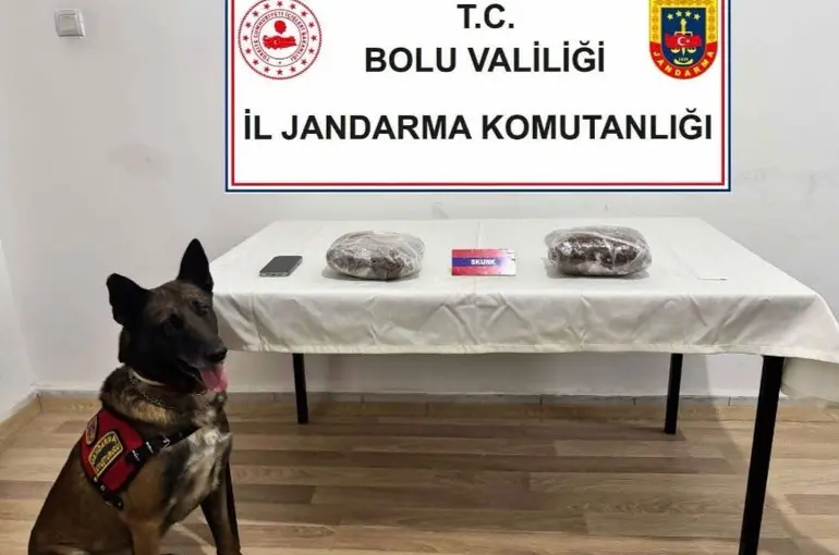 TEM’de yolcu otobüsünde 810 gram esrar ele geçirildi; 1 tutuklama
