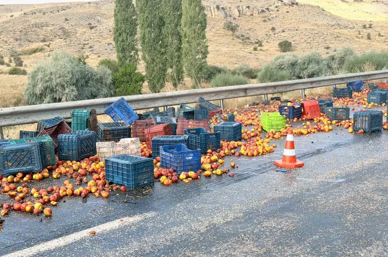 Tırın dorsesi yan yatınca şeftaliler yola saçıldı
