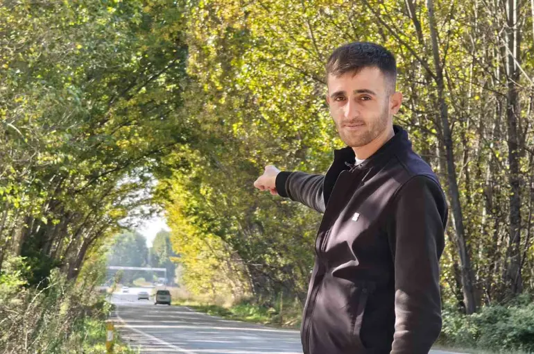 Tokat’ta kavak ağaçlarından sonbahar tüneli
