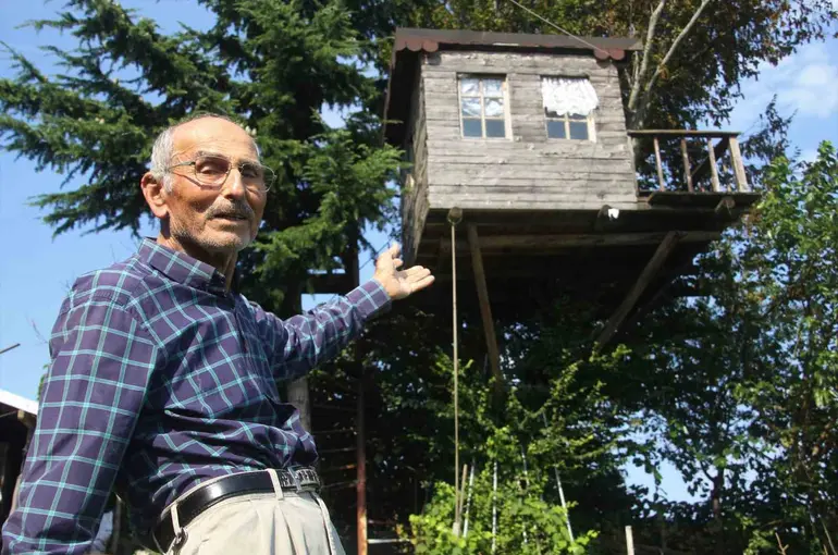 Torunu istedi, dedesi yaptı: 90 yıllık meşe ağacının tepesine ev kurdu

