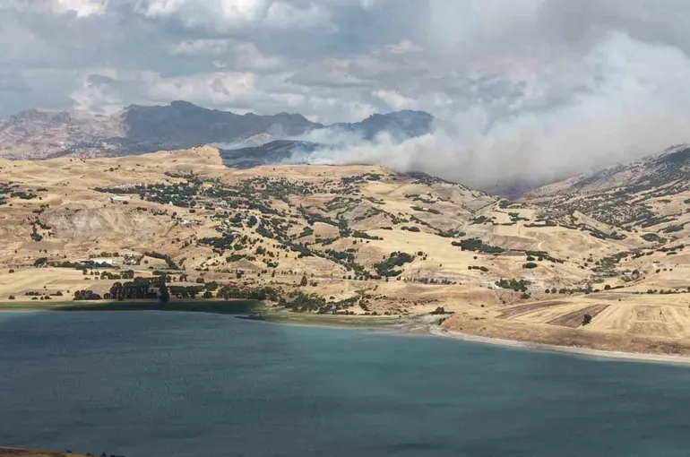 Tunceli’de kırsal alan yangını: Müdahale sürüyor
