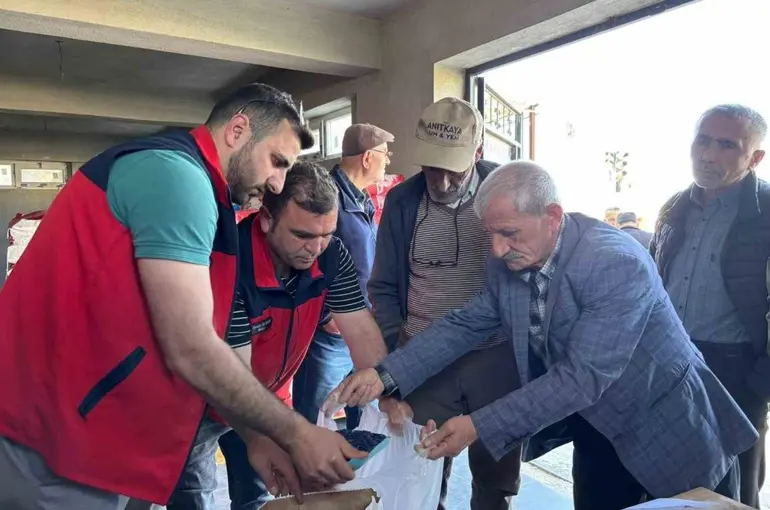 Üreticilere hibe destekli ayçiçeği tohumu dağıtıldı

