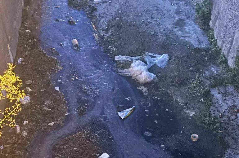 Urla’daki dere kirliliğine vatandaşlardan tepki
