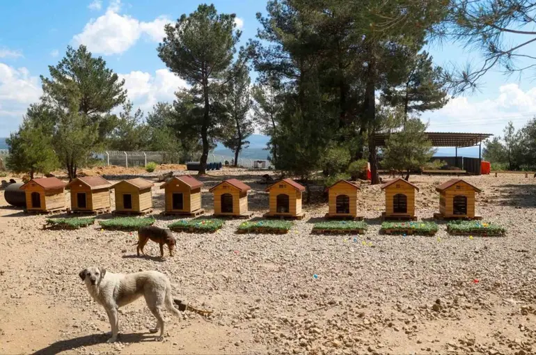 Uşak Belediyesi Başkan Vekili Özkan’dan hayvan bakımevine ziyaret
