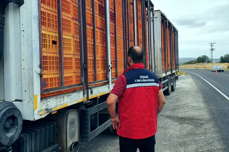 Uşak’ta hayvan hastalıklarına karşı yol kontrol ve denetimler aralıksız devam ediyor
