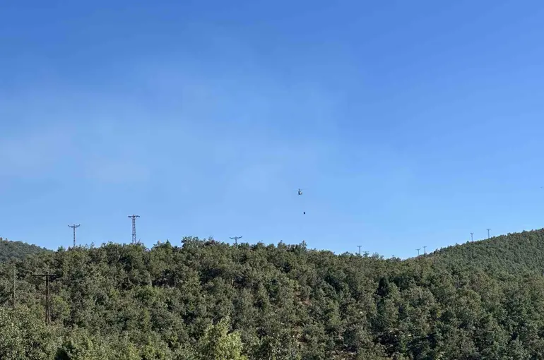 Uşak’ta meşelik alanda çıkan yangın kontrol altına alındı
