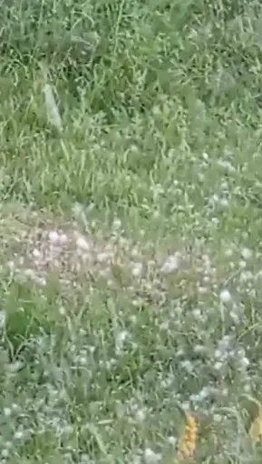 Van’da ceviz büyüklüğünde dolu yağışı
