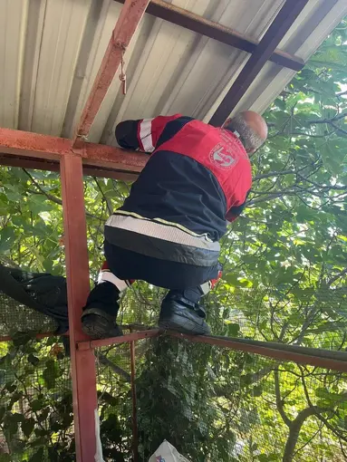 Vatandaşları tedirgin eden 1 buçuk metre yılanı itfaiye yakaladı
