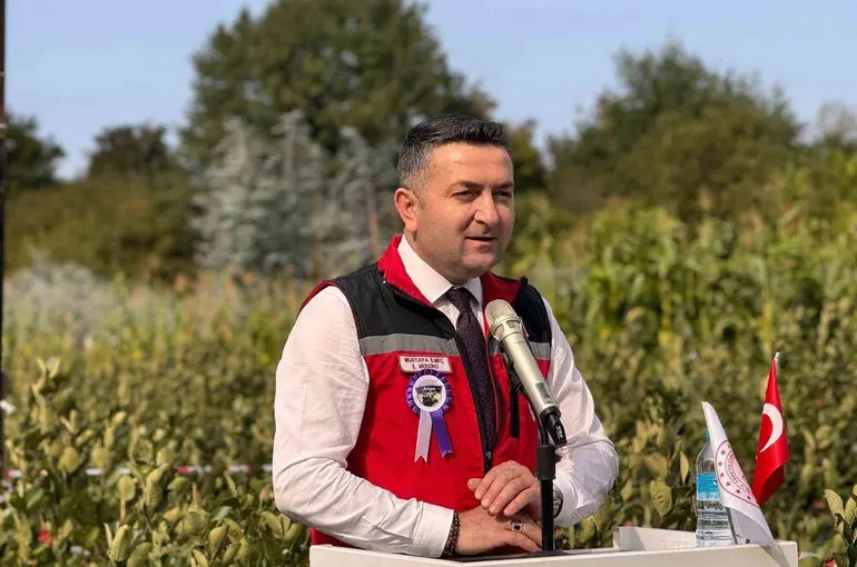 Yalova’nın coğrafi işaretli meyvesi aronyada hasat sevinci