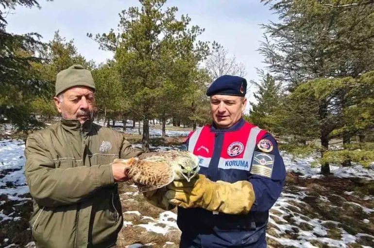 Yaralı Şahin’e Jandarma ekiplerinden yardım eli
