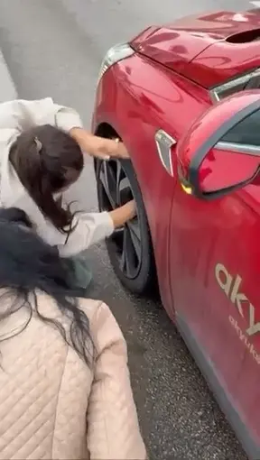 Yola atlayan kedi aracın tekerine sığındı, kurtarma anı kamerada
