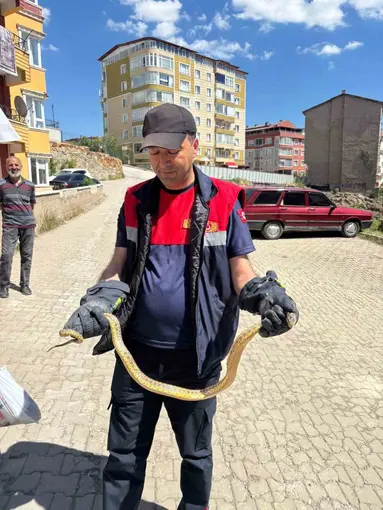 Yozgat’ta otomobile giren yılanı itfaiye ekipleri çıkardı
