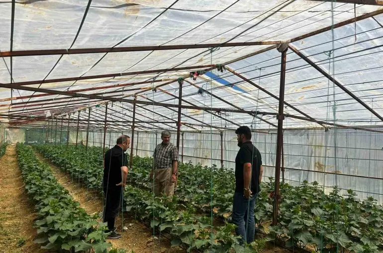 Yüksekova Tarım ve Orman Müdürlüğü ekiplerinden çiftçilere saha desteği
