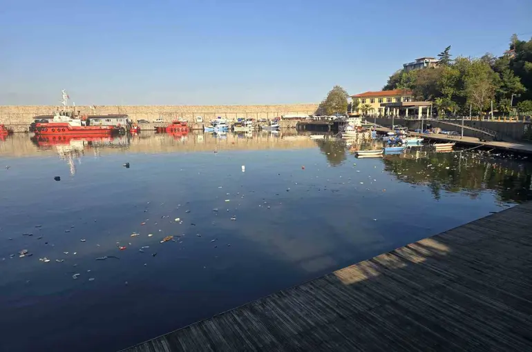 Zonguldak Limanı’nda çevre kirliliği dikkat çekti
