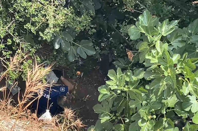 10 metreden düşen kadın, yardıma gelen polislerden kaçtı