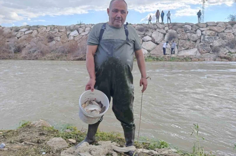 10 yıllık kuraklığın hakim olduğu çayda balık avladılar