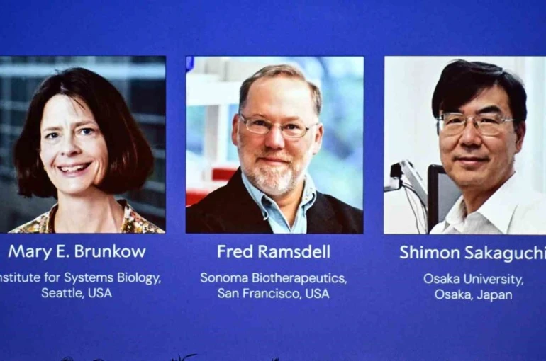2025 Nobel Tıp Ödülü, Brunkow, Ramsdell ve Sakaguchi’nin oldu
