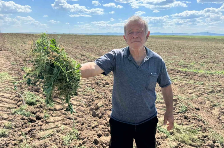 3 bin 500 dönümlük tarım arazisinin 2 ayrı kişiye kiralandığı iddiası
