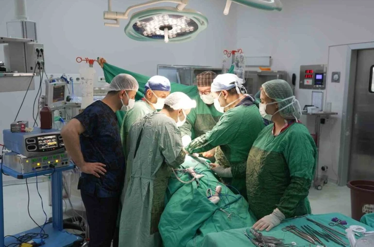 3 santimetrelik böbrek tümörü parsiyel nefrektomi ile çıkartıldı