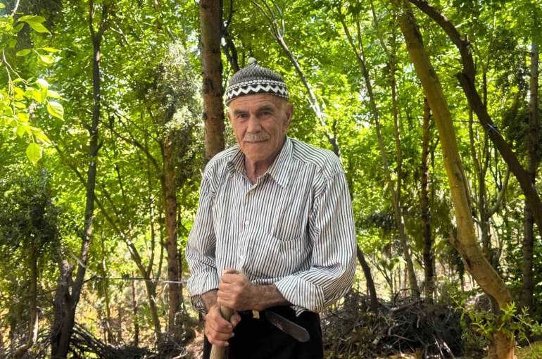 31 yılda 25 bin ağaç dikerek, kurak araziyi oksijen sahası yaptı