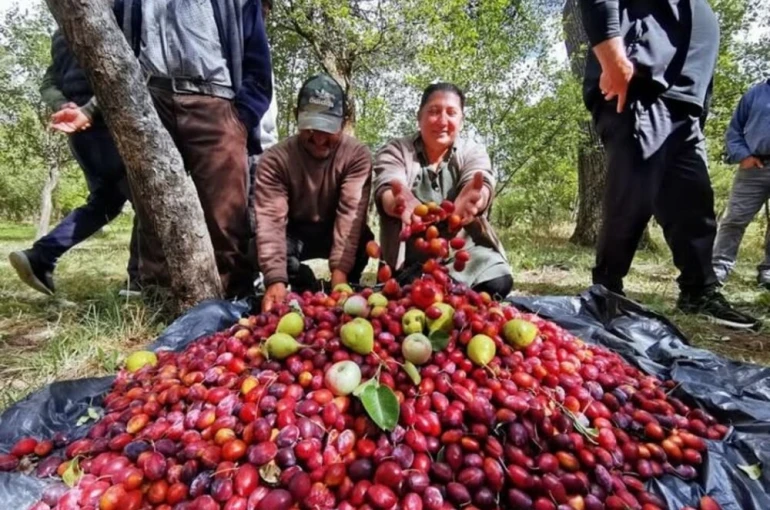 3.Çıldır Cancur Festivali Yapıldı
