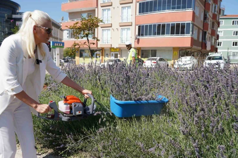 60 ülkeden 381 proje arasında Bilecik ve İstanbul yer aldı