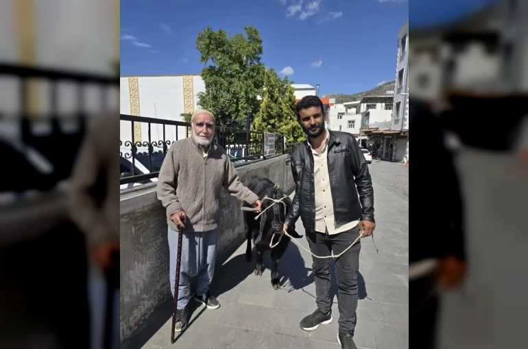 70 kiloluk dev keçi 36 bin liraya satıldı 