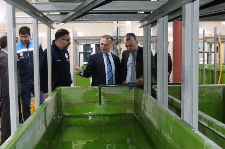 Abant Gölü’ne 100 bin endemik Abant alası bırakıldı