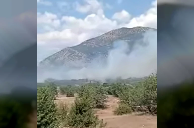 Acıpayam’daki orman yangını kontrol altına alındı