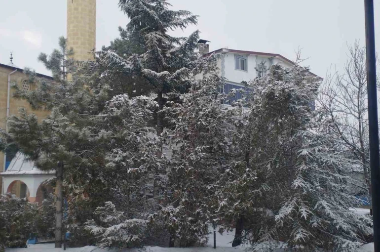 Adana’da kar sürprizi