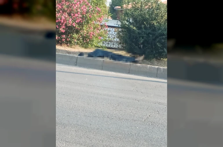 Adana’da minibüsün çarptığı yaya hayatını kaybetti