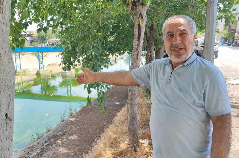 Adana’da sivrisinek istilasına vatandaş tepkisi: "Çocuklarımız yara içinde kaldı"