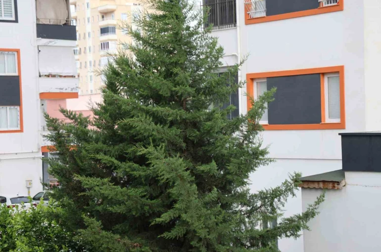 Adana’nın kuzey ilçelerinde kuvvetli rüzgar etkili oldu