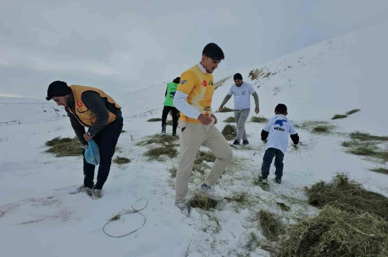 Adilcevaz’da yaban hayvanları unutulmadı: Aktivistlerden Süphan Dağı eteğine yem bıraktı