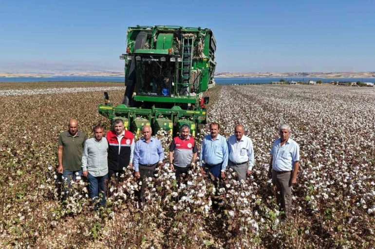 Adıyaman’da 2025 yılı pamuk hasadı başladı
