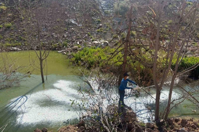 Adıyaman’da sivrisinek ve haşerelere karşı ilaçlama çalışması