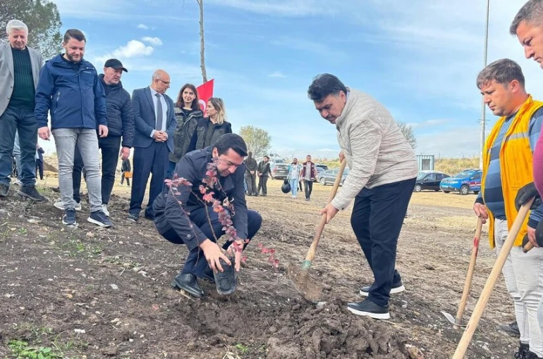 Ağaçlandırma günü etkinliği Havran’da gerçekleştirildi