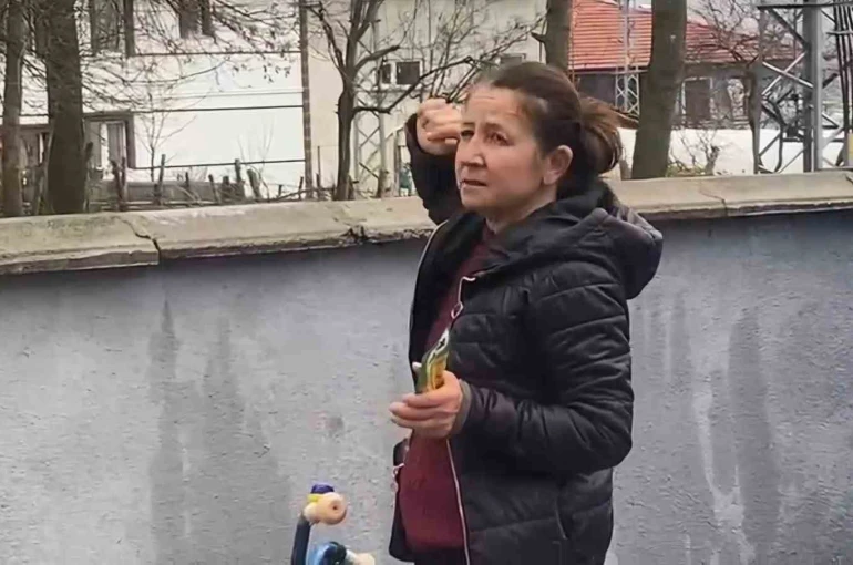Ağaçta mahsur kalan kedi bir haftadır kurtarılmayı bekliyor